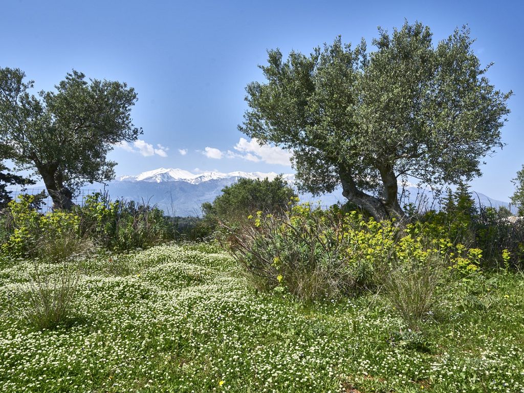 Photo du bien Terrain